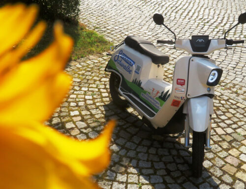 Akkus laden, Seele baumeln lassen: Eine Tour durch die Perlenkette von Orten