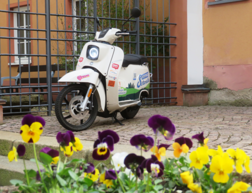 Frühjahrsstart mit der Spenden-Schwalbe